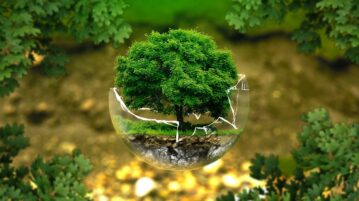 Formation dans l’environnement : un bon pari sur l’avenir ?